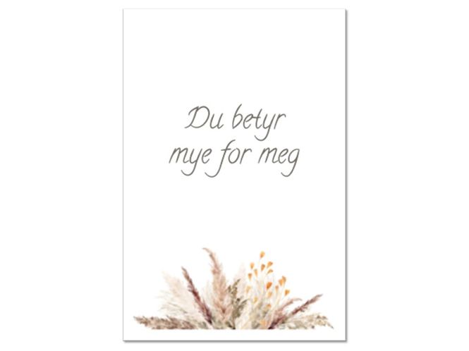 Hovedbilde 50 stk | Du betyr mye for meg | 10x15 cm